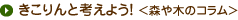 きこりんと考えよう！<森や木のコラム>