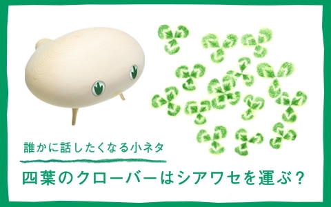 dummy_detail.jpg