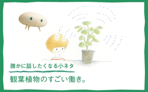 誰かに話したくなる小ネタ 観葉植物のすごい働き きこりんの森